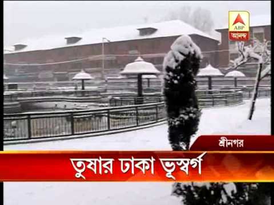 srinagar snowfall