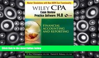 Buy Patrick R. Delaney Wiley CPA Examination Review Practice Software 14.0 Financial Accounting