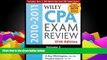 Buy Patrick R. Delaney Wiley CPA Examination Review, Problems and Solutions (Volume 2) Full Book