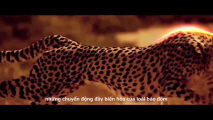 Mazda Vũng Tàu 0938 806 971(Mr. Hùng) Thương Hiệu Mazda