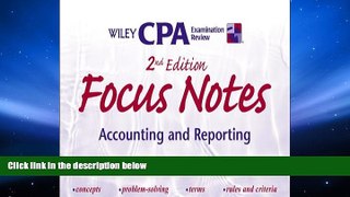 Best Price Wiley CPA Examination Review Focus Notes, Accounting and Reporting, 2nd Edition Less