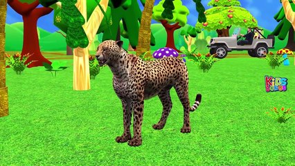 Color Elephant, Gorilla, Dinosaurs Finger Family Songs | Cartoon Animals Nursery Rhymes Collection