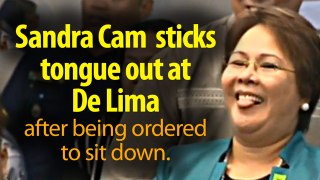 Sandra Cam, who exposed De Lima's affair with Dayan teases De Lima during senate hearing