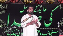 Zakir Syed Muhammad Hussain Shah Jasowal 18 Muharram 1438 ( 2016 ) Choti Behak Hafizabad