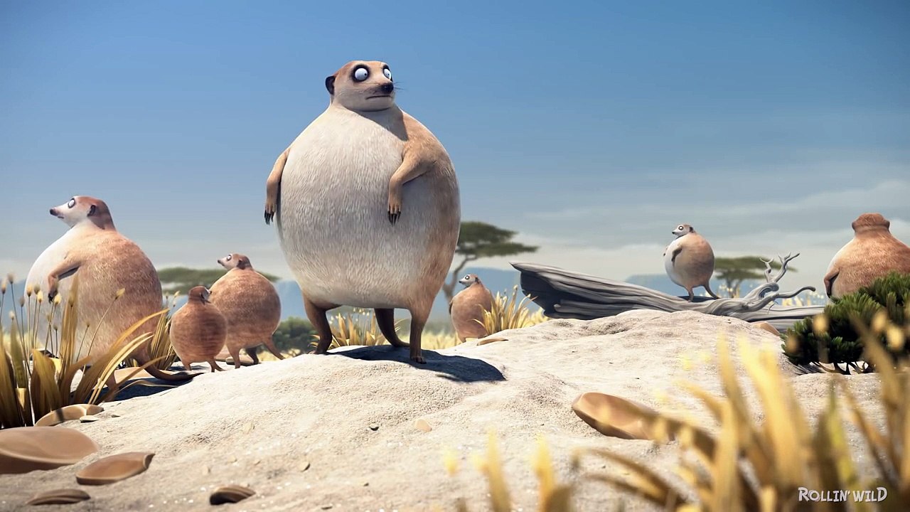 ROLLIN SAFARI 'Meerkats what if animals were round 2016 by Dailyfan