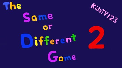 The Same or Different Game 2