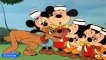 Mickey Mouse Pluto Cartoon New Collection | Donald Duck & Chip and Dale Cartoons, Minie mouse, Mickey Mouse| Walt Disney