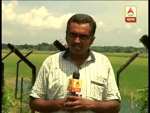 Villagers of Basirhat near Indo-Bangladesh border accuse tmc of cattle trafficking .