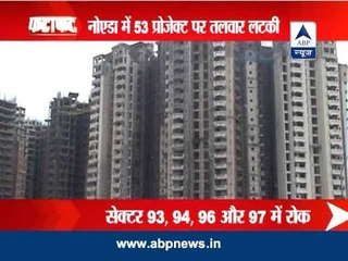 Noida: Construction ban near Okhla bird sanctuary