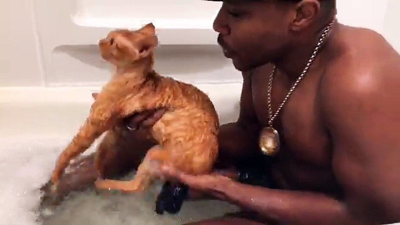 Il rappe en donnant un bain à son chat assis dans la baignoire