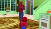 Spiderman Johny Johny Yes Papa Children Nursery Rhymes | Spiderman Cartoons for Children, Kids