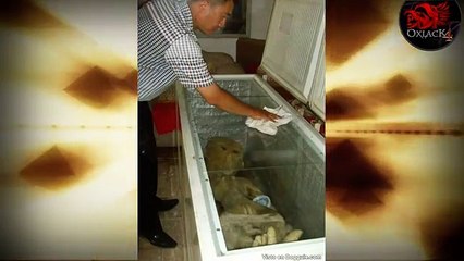 Extraterrestre capturado por un granjero en China @OxlackCastro