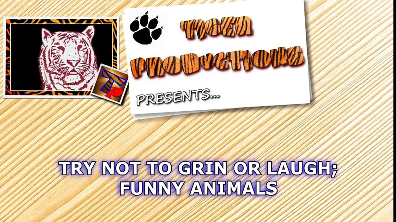 Animals & pets_ Try not to grin or laugh challenge - Funny animal compilation