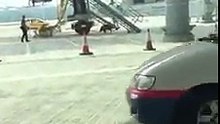 Hong Kong : un sanglier sauvage sème la panique dans un aéroport !