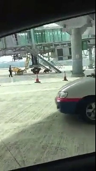 Hong Kong : un sanglier sauvage sème la panique dans un aéroport !