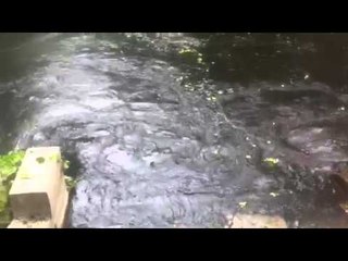 ABP Ananda viewer sent Earthquake video: Dr  Pinaki Bhadra, Domjur Howrah