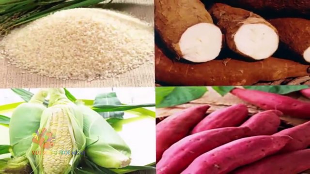 Cách làm Bánh Khoai Mì Nhân Dừa ngon lạ bổ dưỡng - Món Ngon Mỗi Ngày