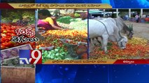 Farmers abandon Tomato Crop as Demonetisation lowers prices - TV9