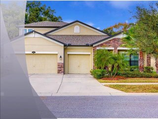 Free Home Valuation Valrico