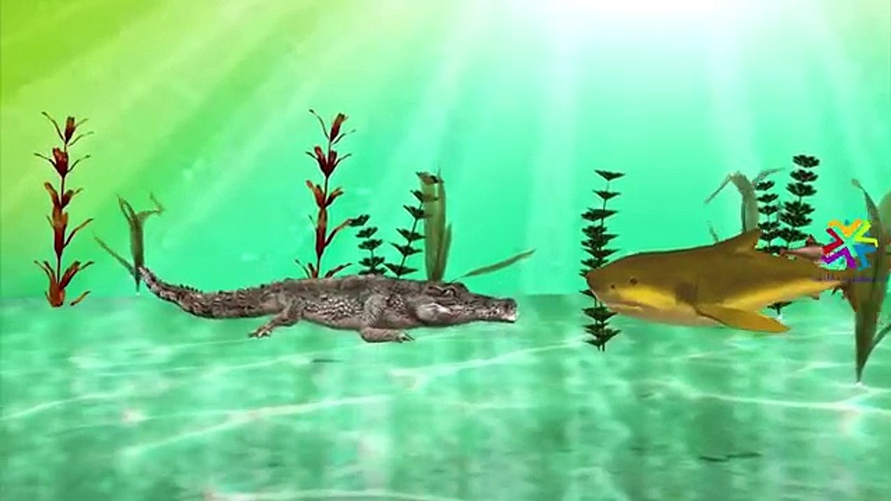 Crazy Dinosaur Finger Family Nursery Rhymes For Children | Crocodile Finger Family Rhymes