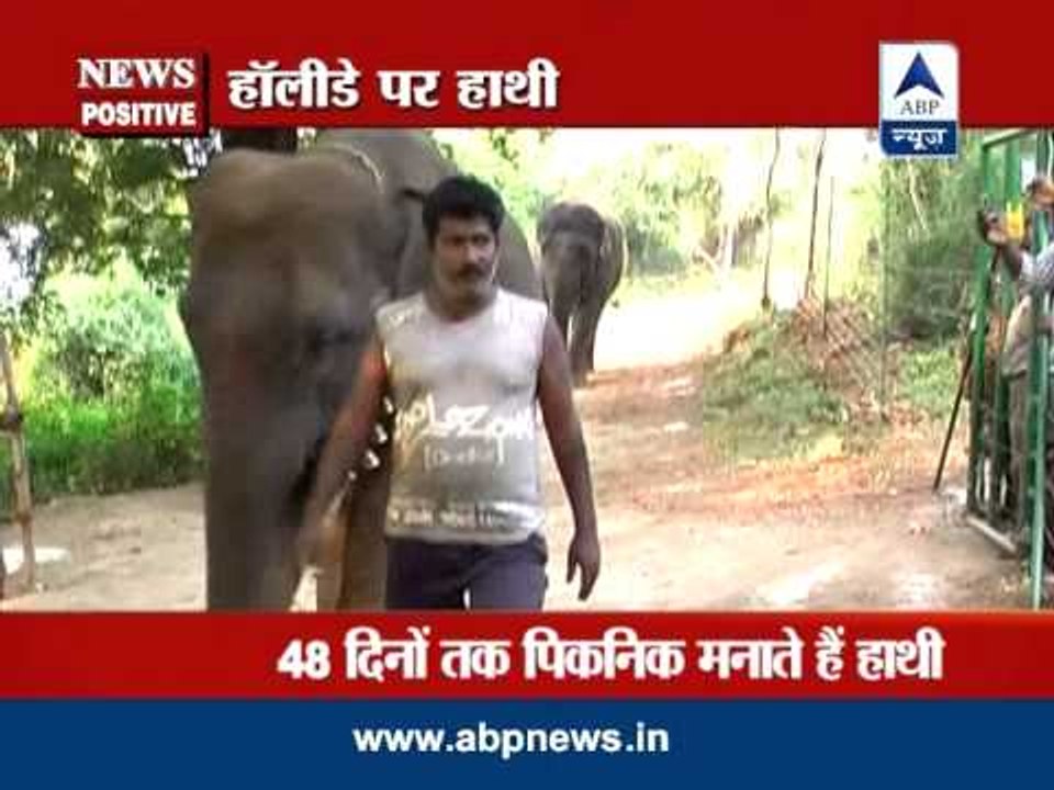 News Positive: Holiday with elephants