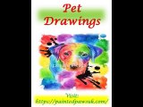 Pet Drawings