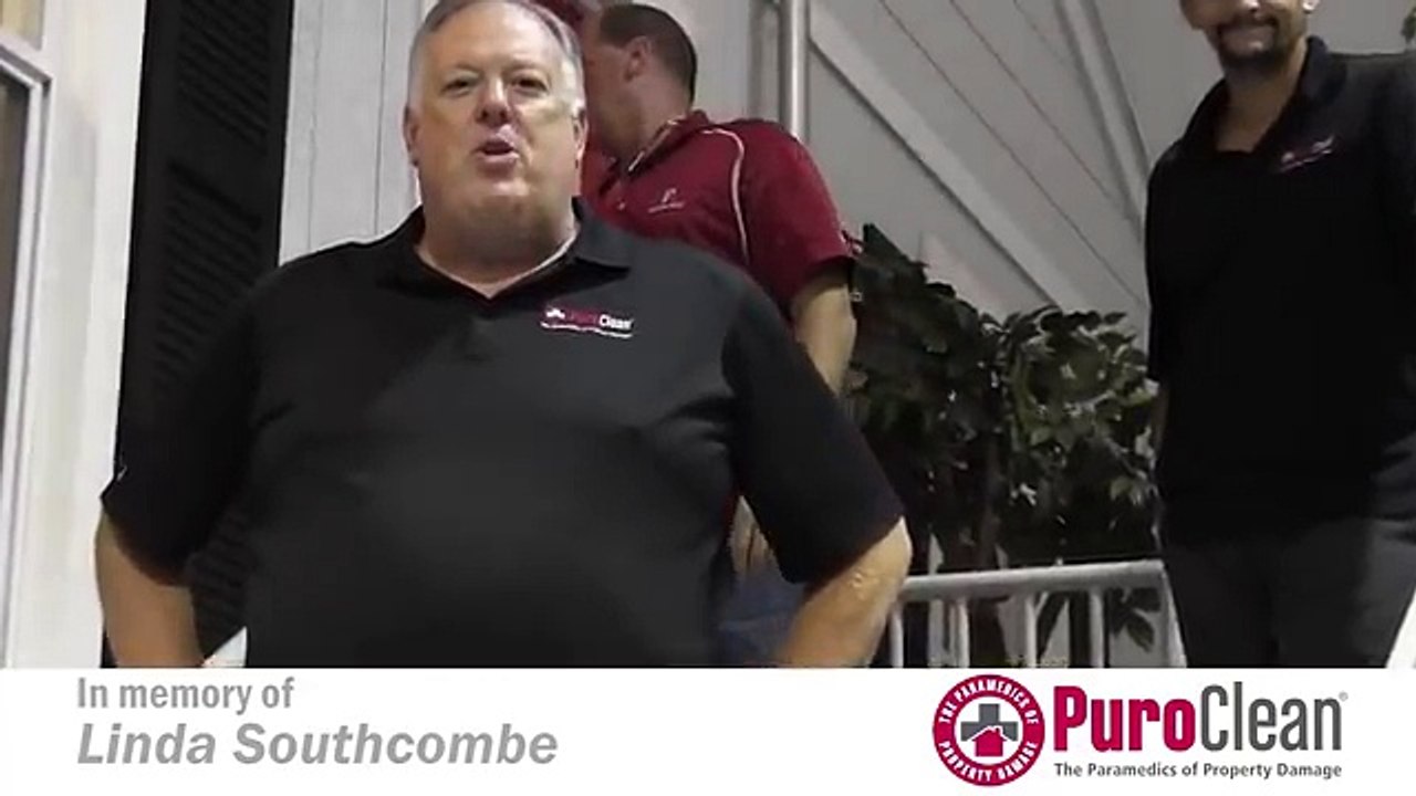 Mold Removal Wyandotte - Fire Damage Wyandotte - 734-225-2552