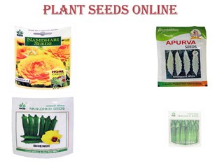 Plant Seeds Online