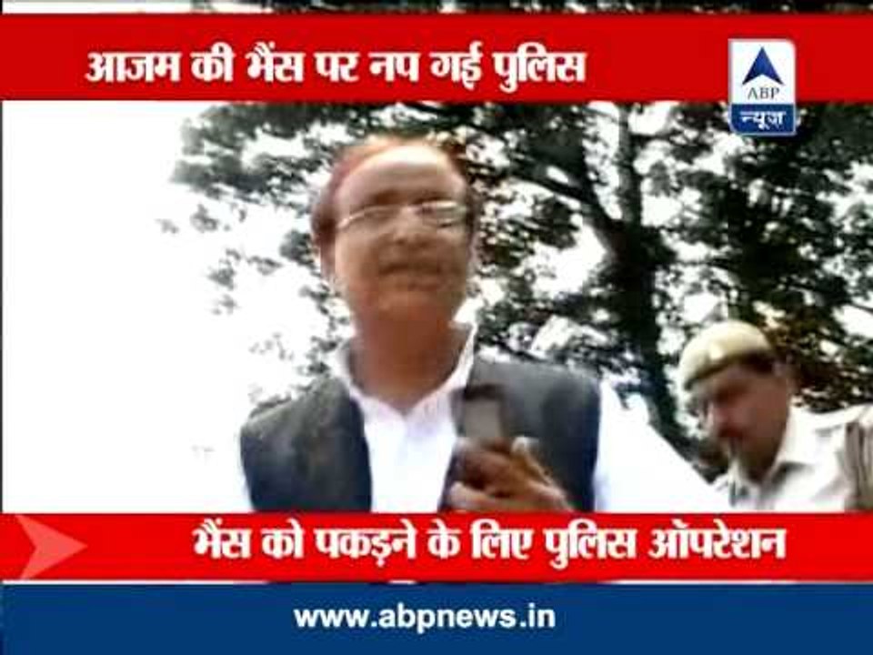 Azam Khan says "my buffaloes more famous than Queen Victoria"