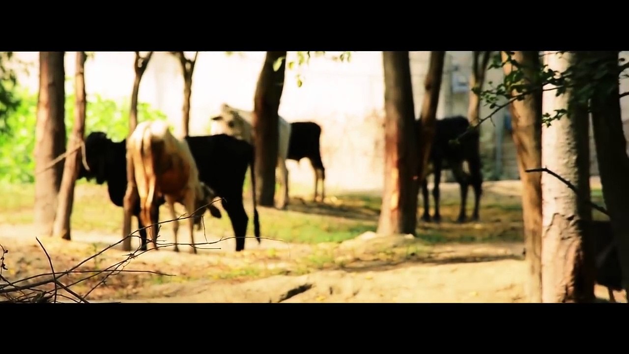 Pashto New Songs 2017 Moeez & Ali Baba Khan Feat Ghani Khan - Saaz