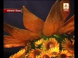 Naktala Udayan wins ABP Ananda Hall of Fame award