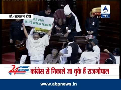Ruckus in Parliamanet over Telangana Bill: Pepper spray used, knife brandished by MPs