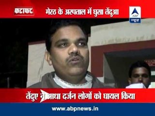 Administration orders shutdown in Meerut over leopard scare