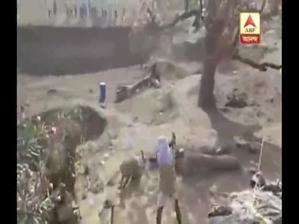 Leopard attack in W. Midnapore, 4 injured