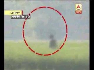 Bengal 4 rth phase poll: miscreants are roaming with arms at Domkal