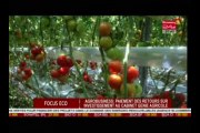 Business 24 - Focus Eco - Agrobusiness - paiement des retours sur investissement au cabinet Genie Agricole