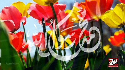 Ali Deep Rizvi | Har Tarf Noor Kay Ujale Hen | Naat 2016 | AzadariTube