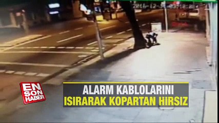 Alarm kablolarını ısırarak kopartan hırsız | En Son Haber