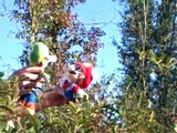 Mario and Luigis stupid and dumb adventures. episode 2