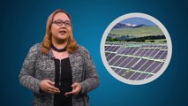 EVENING 5: EC Awards Multi-million Solar Plants to Four Power Players