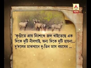 Two central ministers arguing over killing of Nilgai's in Bihar