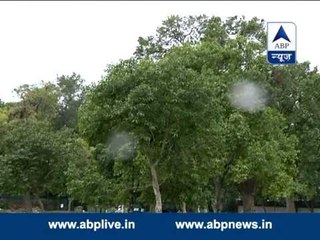 Early morning rain brings mercury down in Delhi
