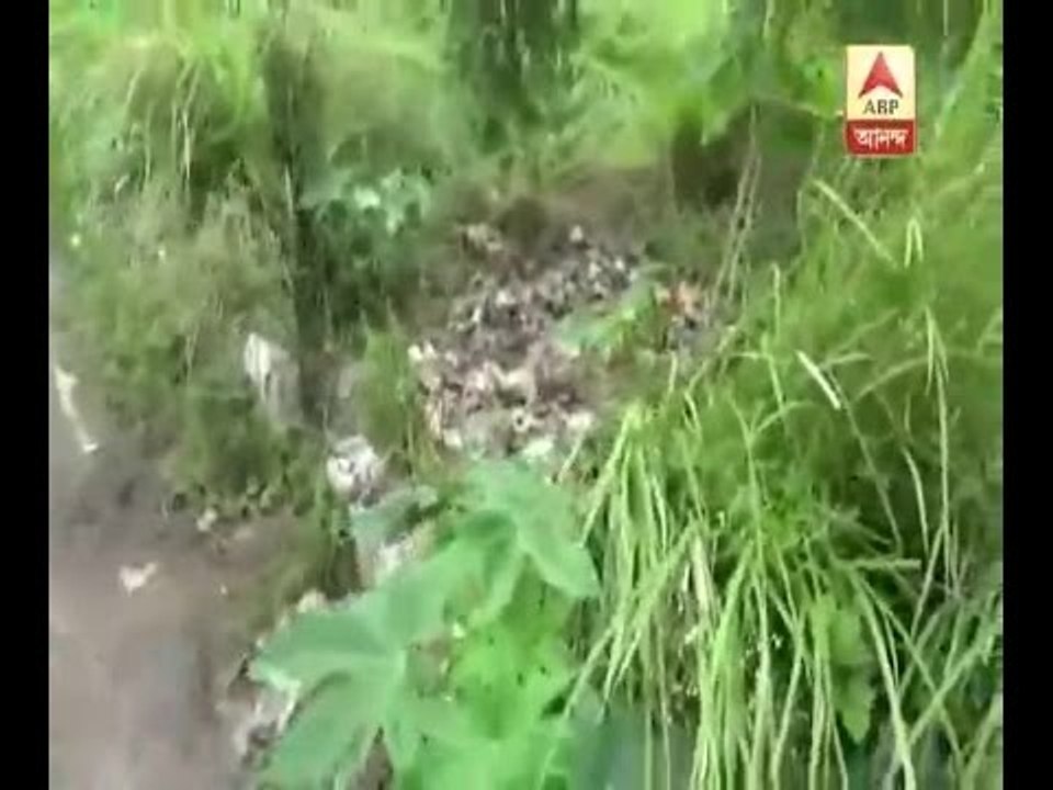Another unidentified body of a woman recovered from Newtown