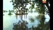 Flood-ravaged Kaziranga National Park,some wild animals including rhinos washed away due t