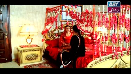 Mai Nee Episode 01 - on Ary Zindagi in High Quality 21st December 2016