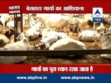 News Positive: Vishnu Charitable Trust - an NGO for cows