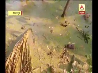 Quake felt in Sonarpur of South 24 Parganas