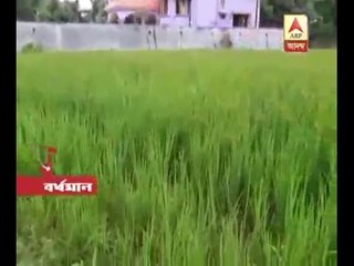 Sweet hub project works stars at Burdwan