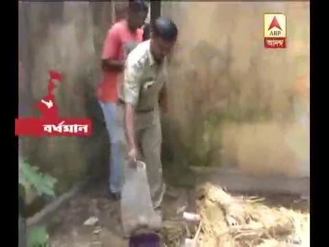 6 crude bombs recovered in Durgapur