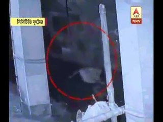 Youth felt from the roof and dies due to chase by dogs